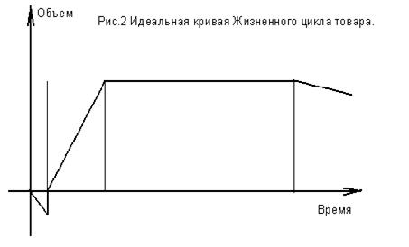 Фаза зрелости  1