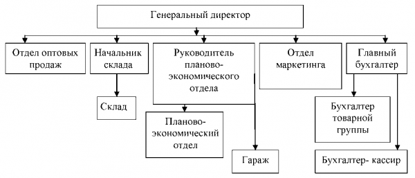  краткая характеристика организации 1