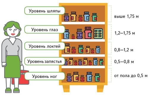 Принципы мерчандайзинга и законы покупательского восприятия 1