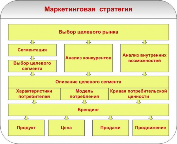 Этапы разработки маркетинговой стратегии. Автор24 — интернет-биржа студенческих работ