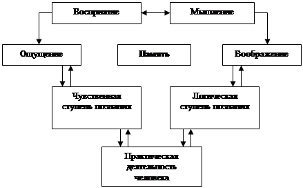 Восприятие у человека теснейшим образом связано с мышлением 4