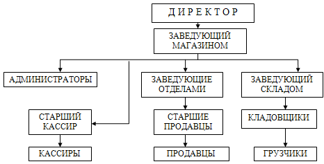  изучение маркетинговой деятельности в магазине европейские продукты  1