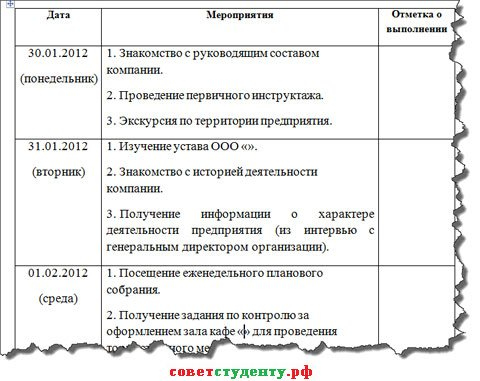 Внешний вид заполненного дневника 1