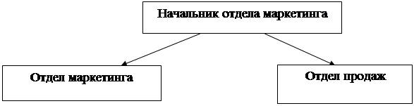  организацияслужбы маркетинга и маркетинговых исследований 1